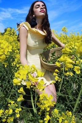 Picture of Marigold Dress
